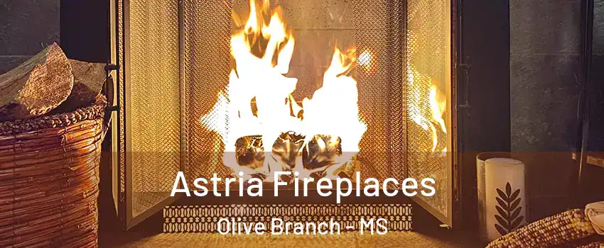  Astria Fireplaces Olive Branch - MS