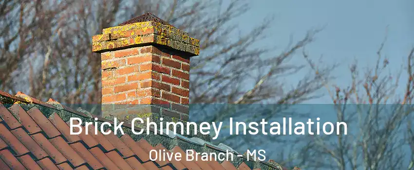  Brick Chimney Installation Olive Branch - MS