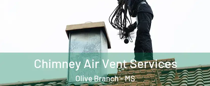  Chimney Air Vent Services Olive Branch - MS