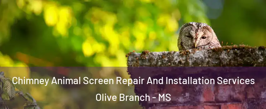  Chimney Animal Screen Repair And Installation Services Olive Branch - MS