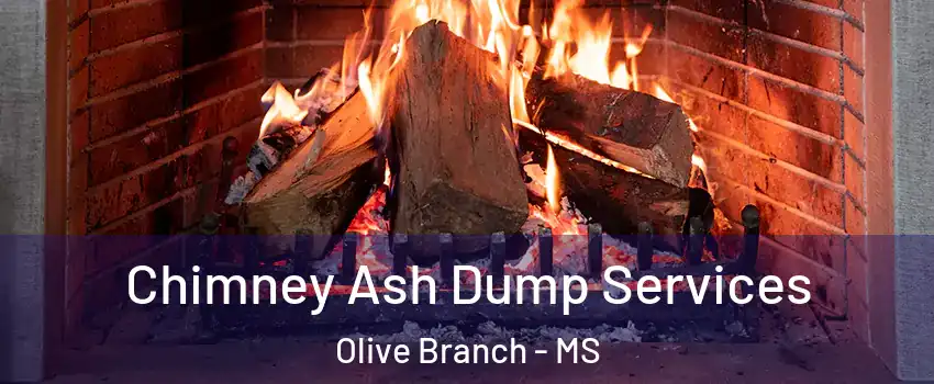  Chimney Ash Dump Services Olive Branch - MS