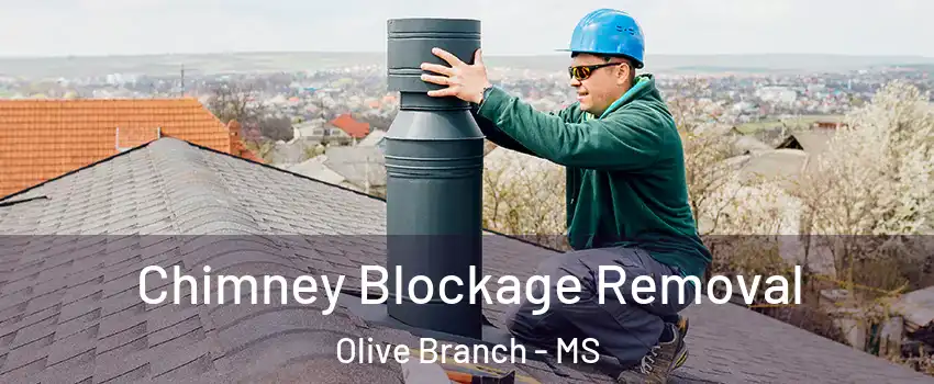  Chimney Blockage Removal Olive Branch - MS