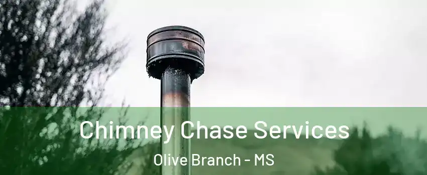  Chimney Chase Services Olive Branch - MS