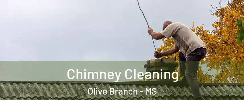  Chimney Cleaning Olive Branch - MS