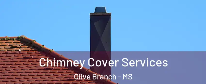  Chimney Cover Services Olive Branch - MS