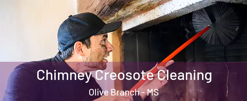  Chimney Creosote Cleaning Olive Branch - MS