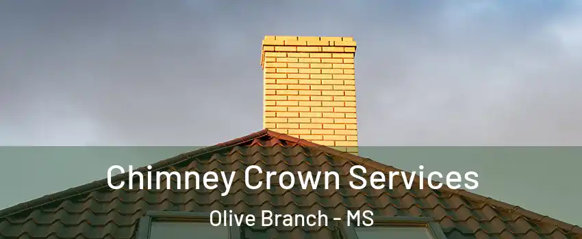 Chimney Crown Services Olive Branch - MS