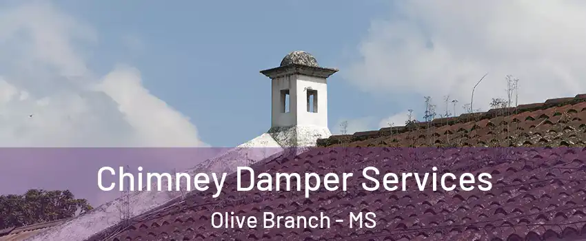  Chimney Damper Services Olive Branch - MS