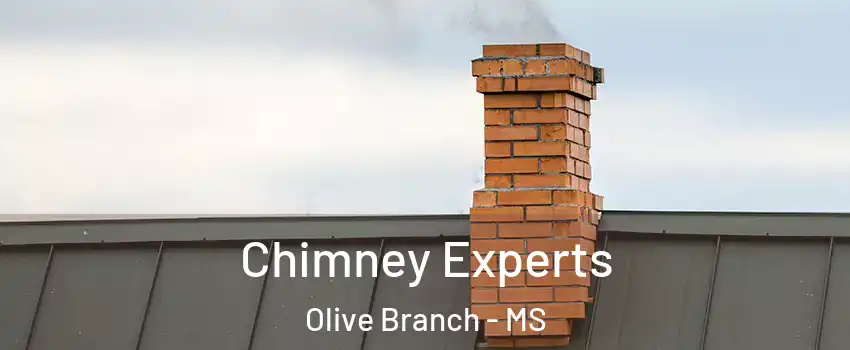 Chimney Experts Olive Branch - MS