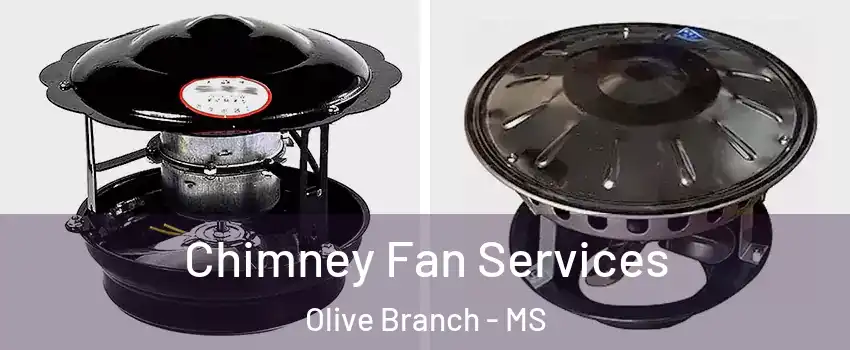  Chimney Fan Services Olive Branch - MS