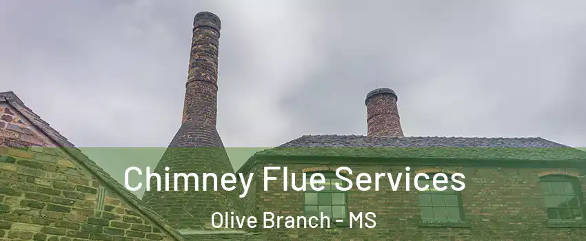  Chimney Flue Services Olive Branch - MS