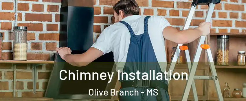  Chimney Installation Olive Branch - MS
