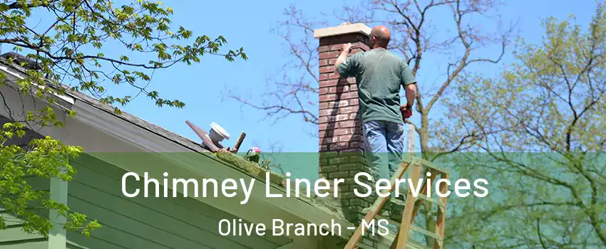  Chimney Liner Services Olive Branch - MS