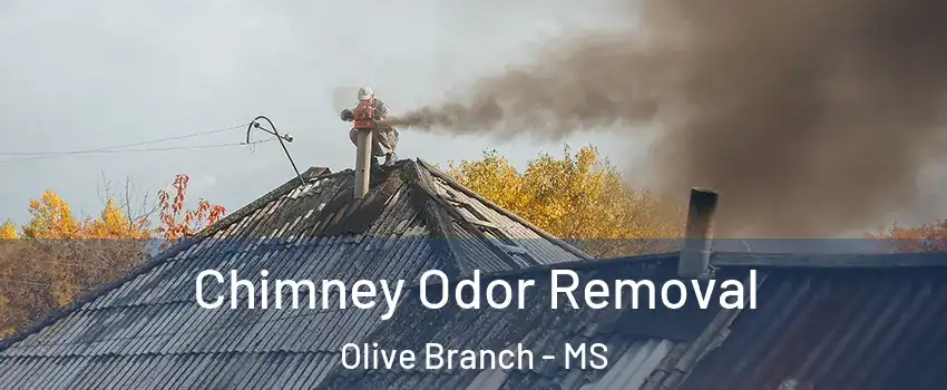  Chimney Odor Removal Olive Branch - MS