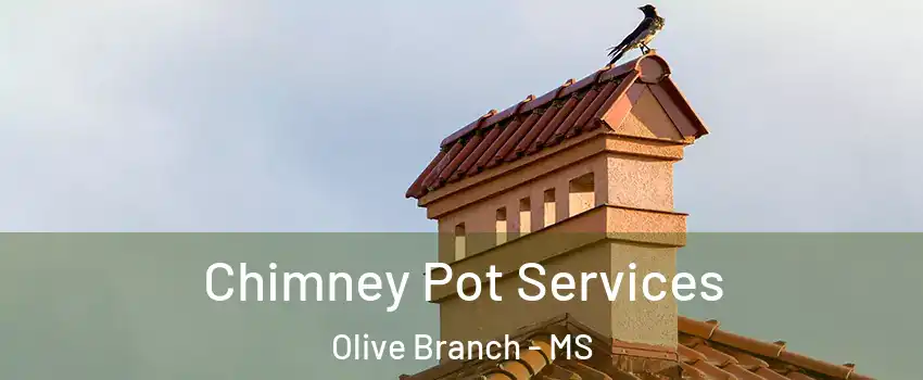  Chimney Pot Services Olive Branch - MS