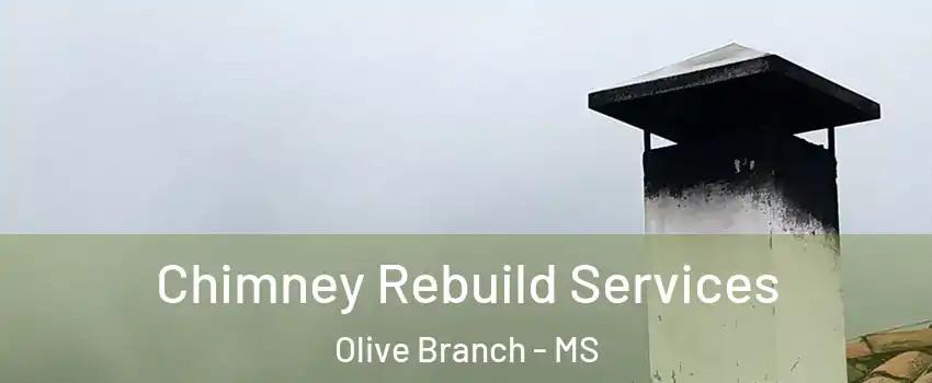  Chimney Rebuild Services Olive Branch - MS