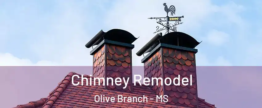  Chimney Remodel Olive Branch - MS