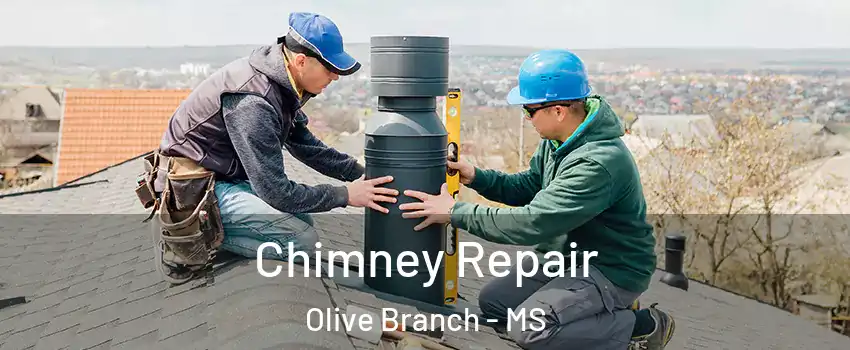  Chimney Repair Olive Branch - MS