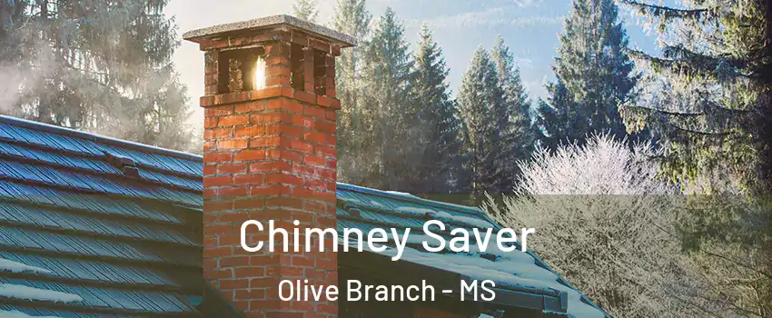  Chimney Saver Olive Branch - MS