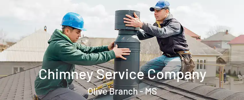  Chimney Service Company Olive Branch - MS