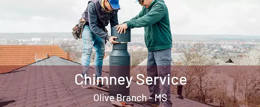  Chimney Service Olive Branch - MS