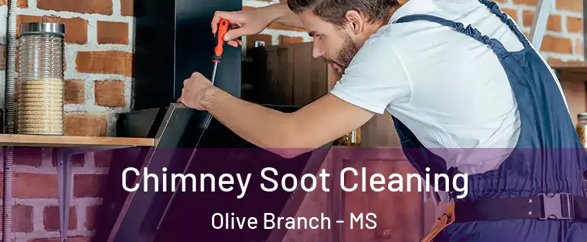  Chimney Soot Cleaning Olive Branch - MS