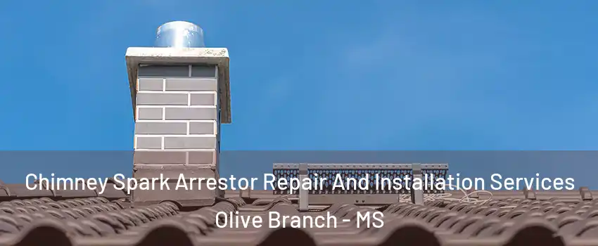  Chimney Spark Arrestor Repair And Installation Services Olive Branch - MS