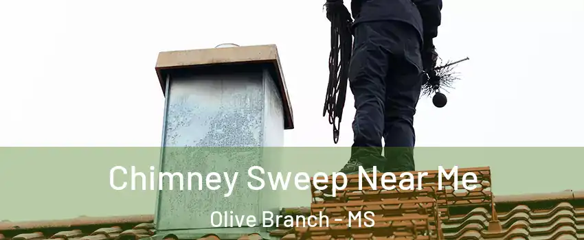  Chimney Sweep Near Me Olive Branch - MS
