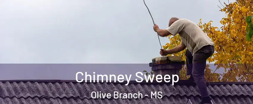  Chimney Sweep Olive Branch - MS