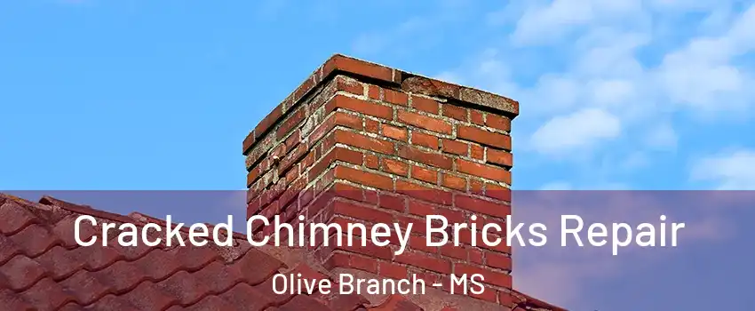  Cracked Chimney Bricks Repair Olive Branch - MS