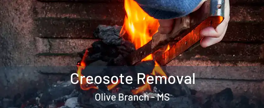  Creosote Removal Olive Branch - MS