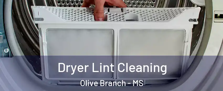  Dryer Lint Cleaning Olive Branch - MS