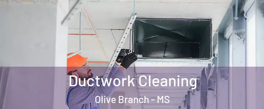  Ductwork Cleaning Olive Branch - MS