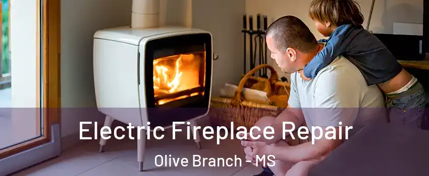  Electric Fireplace Repair Olive Branch - MS