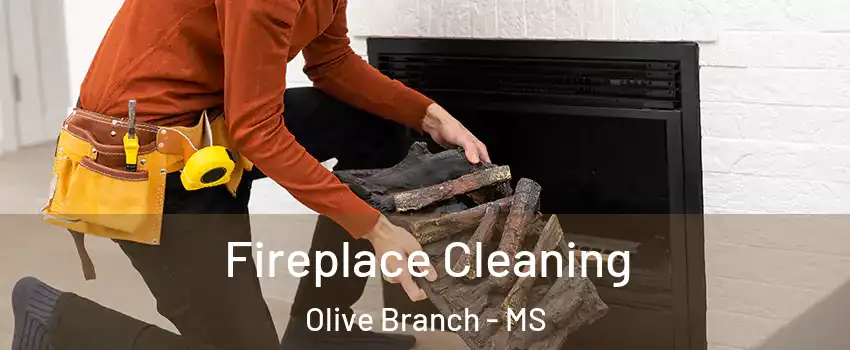  Fireplace Cleaning Olive Branch - MS