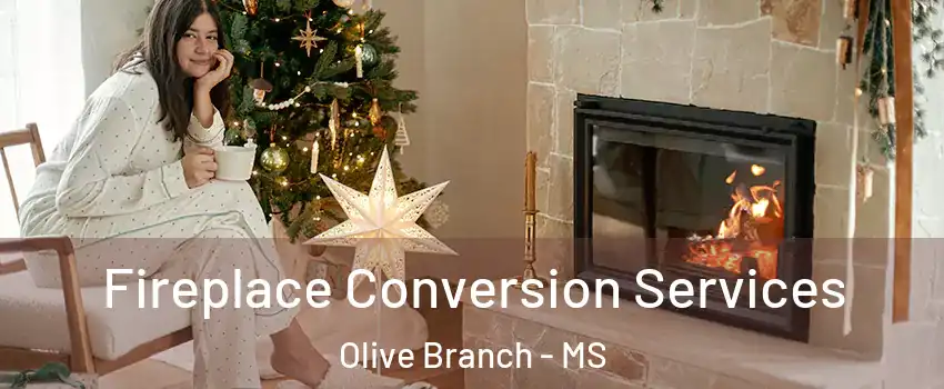  Fireplace Conversion Services Olive Branch - MS
