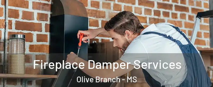  Fireplace Damper Services Olive Branch - MS