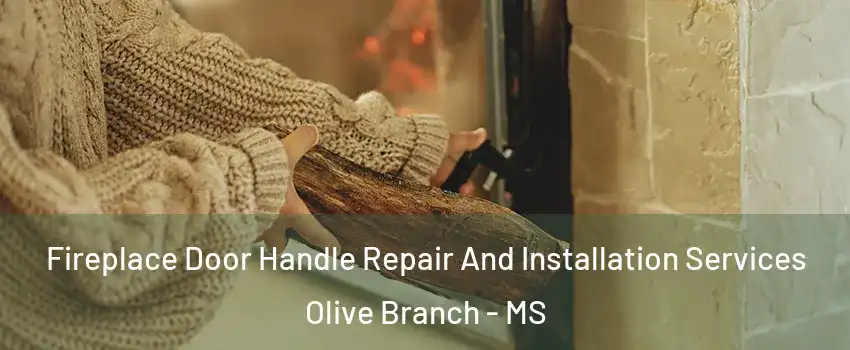  Fireplace Door Handle Repair And Installation Services Olive Branch - MS