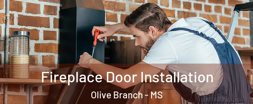  Fireplace Door Installation Olive Branch - MS