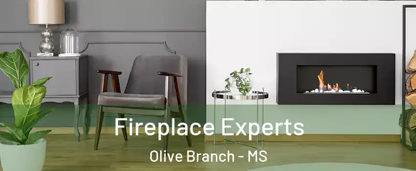  Fireplace Experts Olive Branch - MS