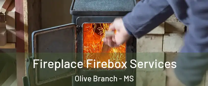 Fireplace Firebox Services Olive Branch - MS