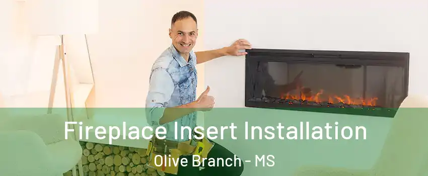  Fireplace Insert Installation Olive Branch - MS