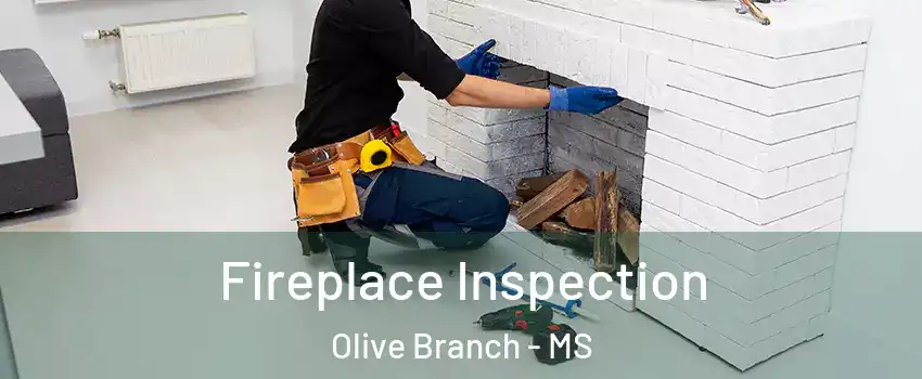 Fireplace Inspection Olive Branch - MS