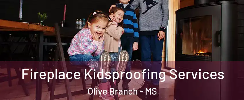  Fireplace Kidsproofing Services Olive Branch - MS