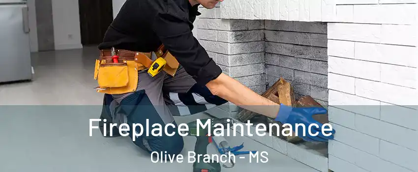  Fireplace Maintenance Olive Branch - MS