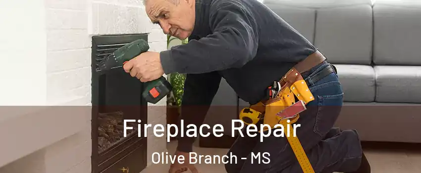  Fireplace Repair Olive Branch - MS