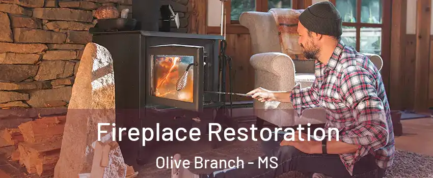  Fireplace Restoration Olive Branch - MS