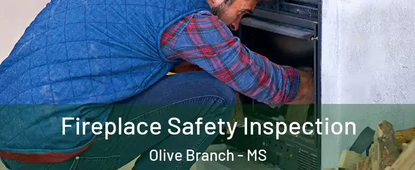  Fireplace Safety Inspection Olive Branch - MS