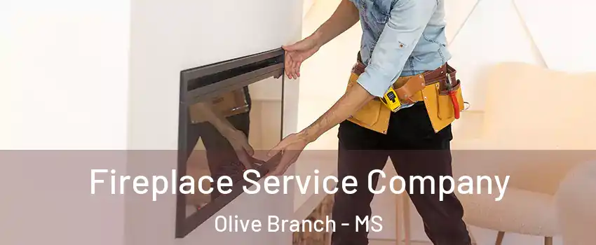 Fireplace Service Company Olive Branch - MS