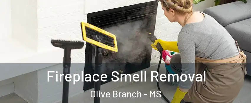  Fireplace Smell Removal Olive Branch - MS